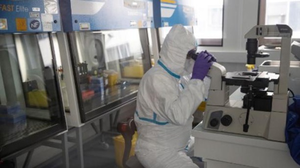 2 NOUVEAUX CAS AU SÉNÉGAL, DES SANCTIONS CONTRE LES DIFFUSEURS DE FAUSSES NOUVELLES 2 NOUVEAUX CAS AU SÉNÉGAL, DES SANCTIONS CONTRE LES DIFFUSEURS DE FAUSSES NOUVELLES