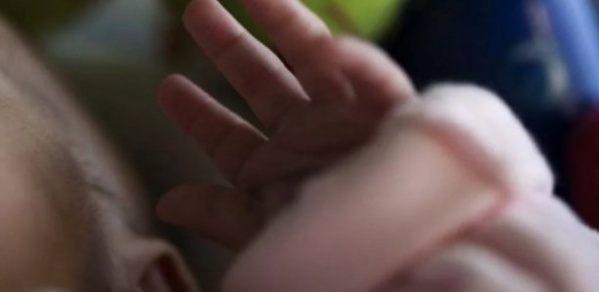 Un bébé jeté dans un jardin dévoré par des cochons Un bébé jeté dans un jardin dévoré par des cochons