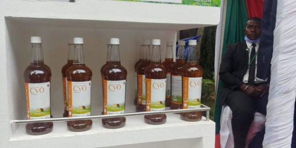 Appel à projet pour le lancement d'un essai clinique sur l'efficacité de l'artémisia contre le Covid-19 : Le Sénégal fait partie des pays ciblés, selon la présidente de la maison de l'Artémisia. Appel à projet pour le lancement d'un essai clinique sur l'efficacité de l'artémisia contre le Covid-19 : Le Sénégal fait partie des pays ciblés, selon la présidente de la maison de l'Artémisia.