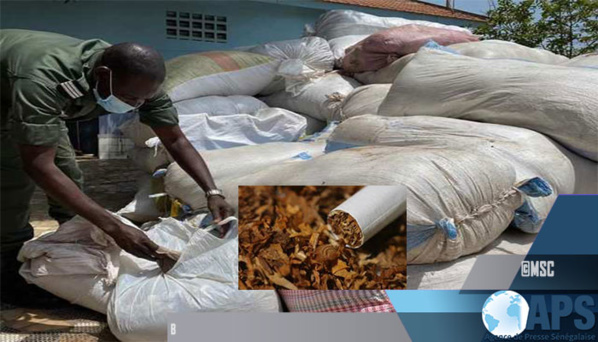 QUINZE TONNES DE TABAC SAISIES À THIAROYE (GENDARMERIE NATIONALE)
