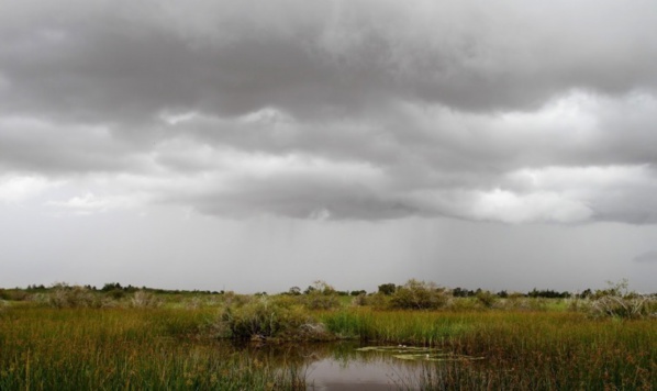 UNE SAISON PLUVIEUSE ATTENDUE DANS LE SAHEL UNE SAISON PLUVIEUSE ATTENDUE DANS LE SAHEL