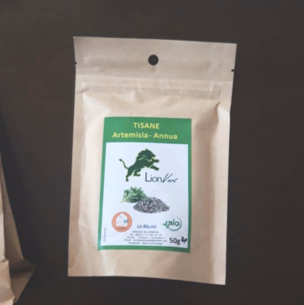 Covid-19 : L’Artémisia, la tisane salvatrice introuvable au Sénégal, les spéculateurs indexés.