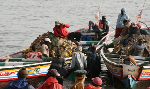 19 PÊCHEURS SÉNÉGALAIS ARRÊTÉS EN GAMBIE