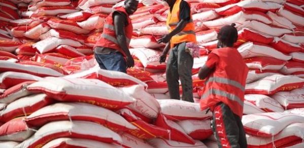 Covid-19 : Un risque de pénurie de riz plane sur le Sénégal