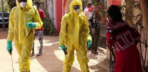 Covid-19/ Gambie : 7 sénégalais déclarés positifs demandent leur rapatriement Covid-19/ Gambie : 7 sénégalais déclarés positifs demandent leur rapatriement