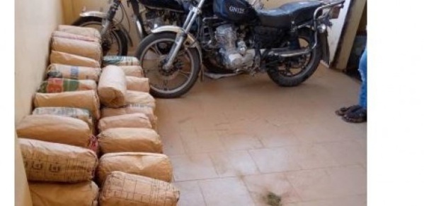 Sédhiou-Tambacounda : Saisie d'une importante quantité de chanvre-indien