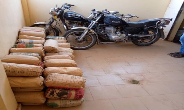 94 KG DE CHANVRE INDIEN SAISIS À SÉDHIOU ET À TAMBACOUNDA