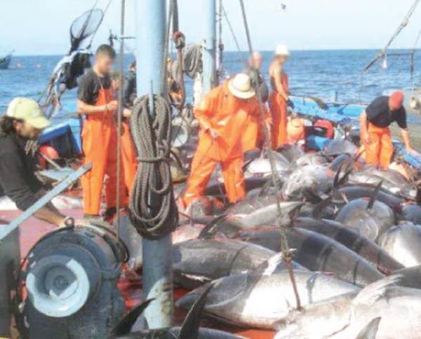 FAUSSE "SENEGALISATION" DES NAVIRES CHINOIS - Pillage organisé FAUSSE "SENEGALISATION" DES NAVIRES CHINOIS - Pillage organisé