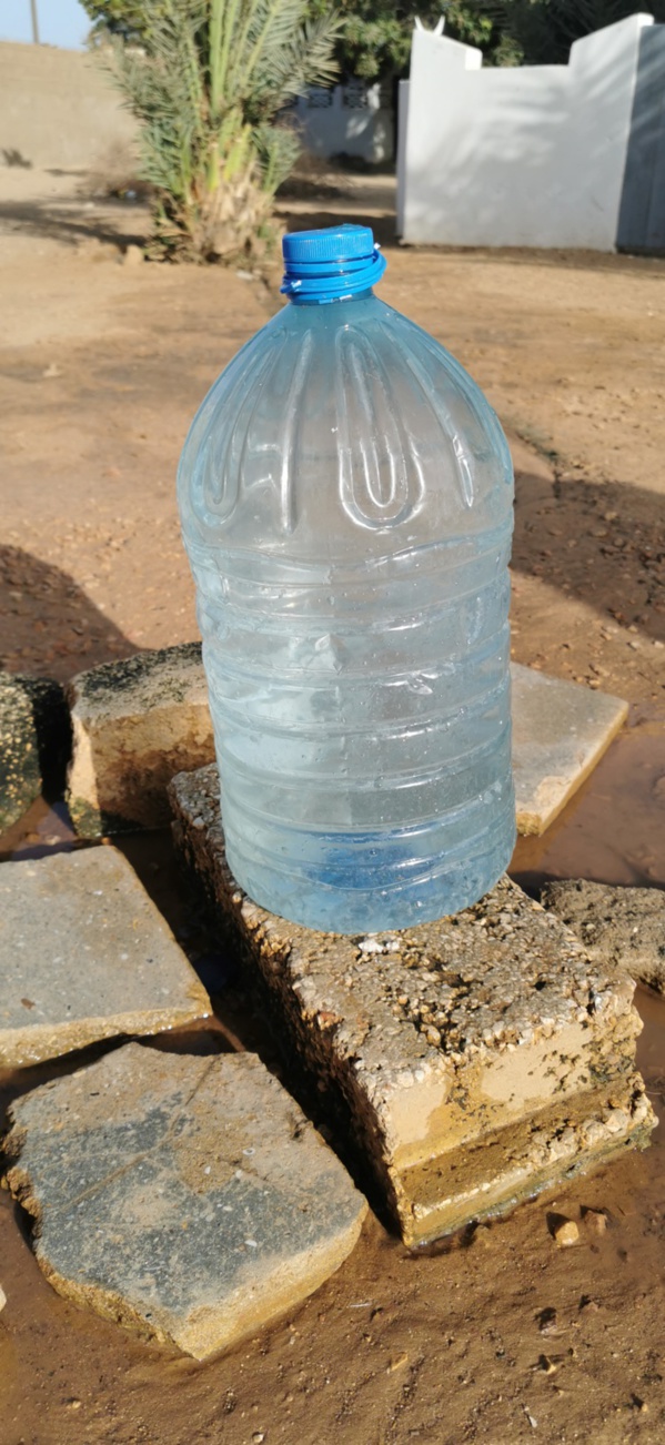 Ngaparou pique une colère noire contre l'invité de Pape Cheikh Diallo dans Quartier Général. Ngaparou pique une colère noire contre l'invité de Pape Cheikh Diallo dans Quartier Général.