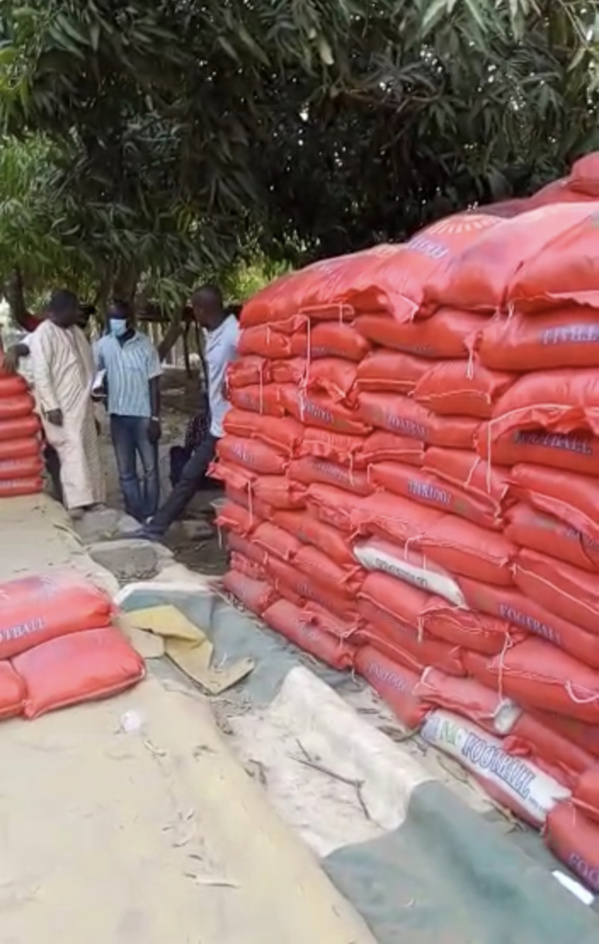 (IMAGES) KOLDA / Mameboye Diao dégaine 150 tonnes de riz, 10 t de sucre et 5.000 litres d'huile. (IMAGES) KOLDA / Mameboye Diao dégaine 150 tonnes de riz, 10 t de sucre et 5.000 litres d'huile.