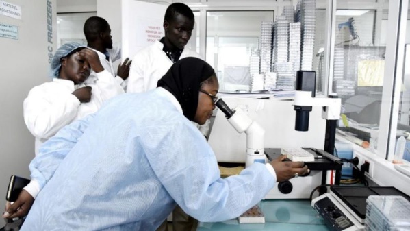 Accusations contre l’Institut Pasteur : Dr Amadou Sall solde ses comptes