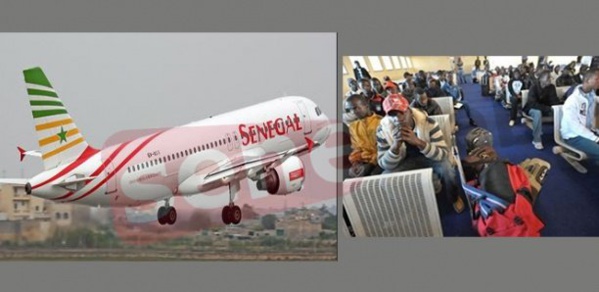 Covid-19: Le gouvernement programme le rapatriement des Sénégalais d'Italie et des USA Covid-19: Le gouvernement programme le rapatriement des Sénégalais d'Italie et des USA