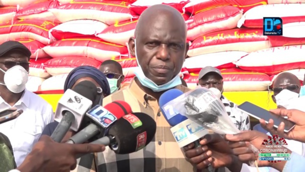 Mansour Faye sur l’appui alimentaire : « Sur les 552 communes que compte le Sénégal, 186 communes ont totalement terminé la distribution, 224 sont en cours »