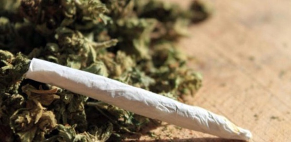 Mbacké - Surpris avec un cornet de chanvre indien : L'élève avale une partie devant les policiers Mbacké - Surpris avec un cornet de chanvre indien : L'élève avale une partie devant les policiers