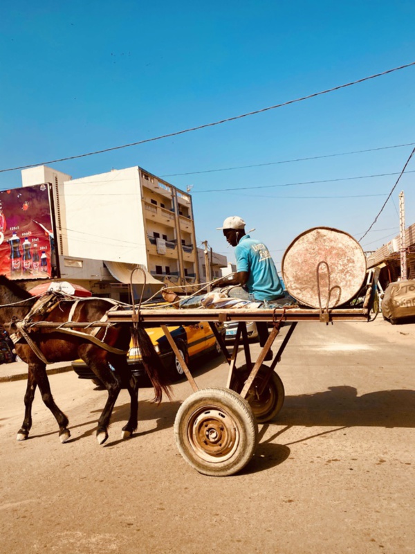 Drame à Yeumbeul: Pour une affaire de priorité, un charretier tue son collègue Drame à Yeumbeul: Pour une affaire de priorité, un charretier tue son collègue