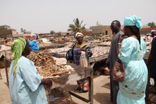 Attaques contre Marème Faye Sall-  La lâcheté des ennemis infâmes contre la grandeur inentamable de la Première Dame Attaques contre Marème Faye Sall-  La lâcheté des ennemis infâmes contre la grandeur inentamable de la Première Dame