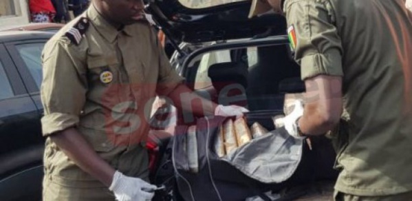 Trafic de cocaïne : La Douane fait tomber deux personnes Trafic de cocaïne : La Douane fait tomber deux personnes