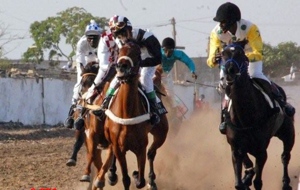 UNE BOMBE SOCIALE ENTRE LES MAINS DES PROPRIÉTAIRES DE HARAS ET D’ÉCURIES DE COURSES UNE BOMBE SOCIALE ENTRE LES MAINS DES PROPRIÉTAIRES DE HARAS ET D’ÉCURIES DE COURSES