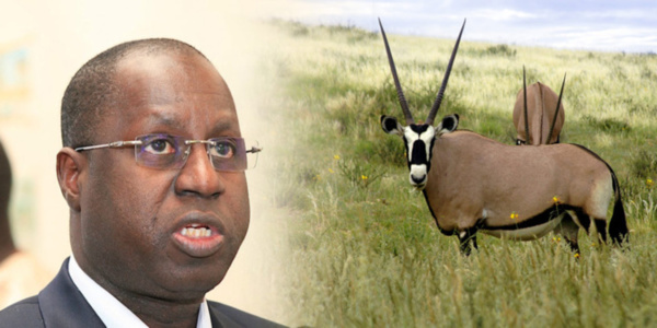 Affaire des « gazelles d’Abdou Karim Sall »: Les journalistes convoqués à la DIC libérés