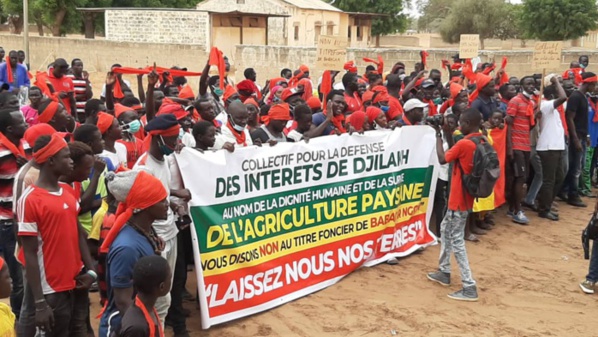 Foncier : Les populations de Djilakh tournent en dérision la conférence de presse de Babacar Ngom et appellent à une marche nationale à Dakar le 17 juillet. Foncier : Les populations de Djilakh tournent en dérision la conférence de presse de Babacar Ngom et appellent à une marche nationale à Dakar le 17 juillet.