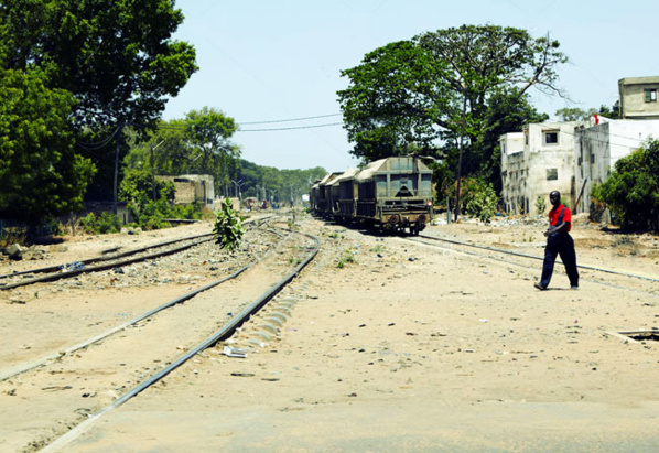 SUICIDE À THIÈS : UN HOMME SE JETTE SUR LE TRAIN EN PARTANCE POUR MBORO SUICIDE À THIÈS : UN HOMME SE JETTE SUR LE TRAIN EN PARTANCE POUR MBORO
