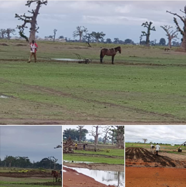 ARRÊT SUR IMAGES/NDINGLER Les paysans de retour sur leurs champs ARRÊT SUR IMAGES/NDINGLER Les paysans de retour sur leurs champs