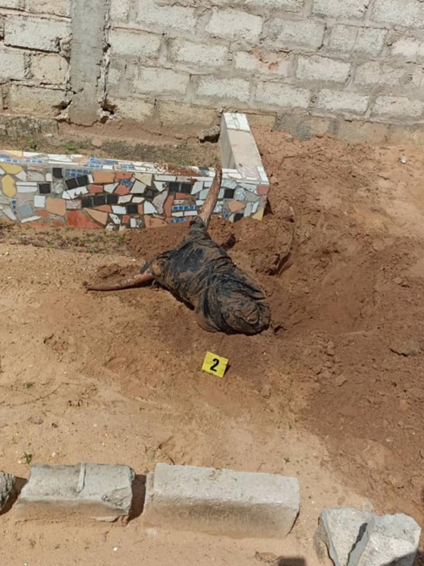 Mbour : La tête et des pattes de bœuf noir enterrées au cimetière de Téfess