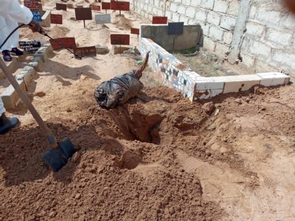 Mystique : Les révélations d’un féticheur sur les motivations réelles d’une tête de bœuf enterrée dans un cimetière. Mystique : Les révélations d’un féticheur sur les motivations réelles d’une tête de bœuf enterrée dans un cimetière.