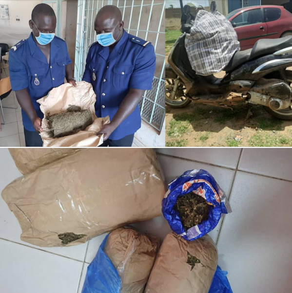 LUTTE CONTRE LE TRAFIC DE DROGUE: Des saisies à Boukhou et Gandigal LUTTE CONTRE LE TRAFIC DE DROGUE: Des saisies à Boukhou et Gandigal