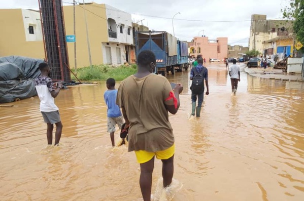 BOUBACAR BARRY, EXPERT EN EAU : « LA SITUATION ÉTAIT PRÉVISIBLE »