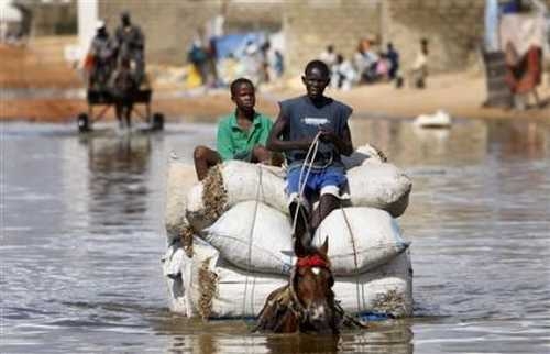 Drame à Tawa (Ndiaffate) : Un jeune homme de 20 ans emporté par les eaux pluviales.