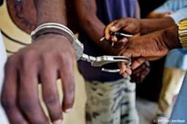 Mbour : Une bande de 18 personnes s'identifiant à l'entreprise Qnet interpellée pour escroquerie par la Police...