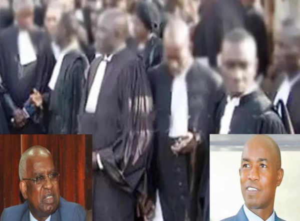 Affaire Teliko: Déclaré persona non grata par les magistrats, Me Malick Sall a-t-il le soutien des avocats? Affaire Teliko: Déclaré persona non grata par les magistrats, Me Malick Sall a-t-il le soutien des avocats?