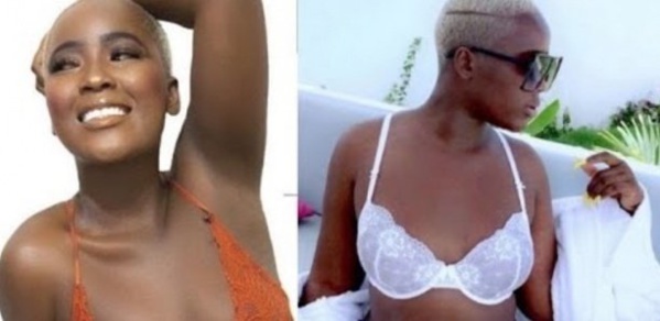 Rangou est libre ! Rangou est libre !