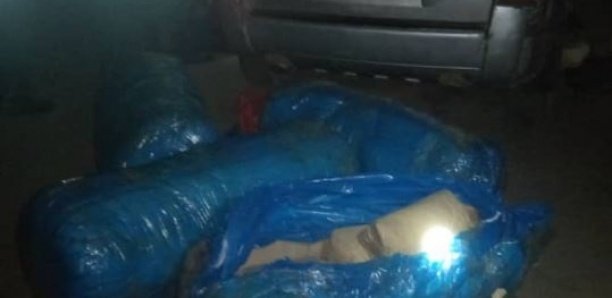 Forêt de Mbao : La gendarmerie saisit 150 kg de chanvre indien saisis dans un véhicule