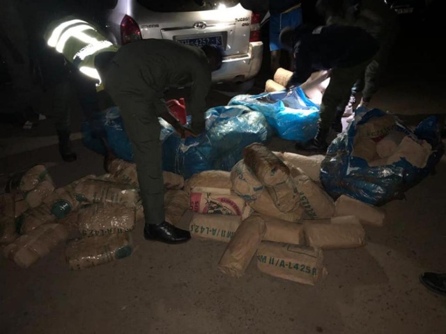Trafic de Drogue: La gendarmerie saisit 200 kilos de chanvre Trafic de Drogue: La gendarmerie saisit 200 kilos de chanvre