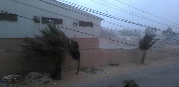 Un vent "assez fort" sur l'axe Dakar-Petite-Côte , à partir de 16 heures ( Anacim) Un vent "assez fort" sur l'axe Dakar-Petite-Côte , à partir de 16 heures ( Anacim)