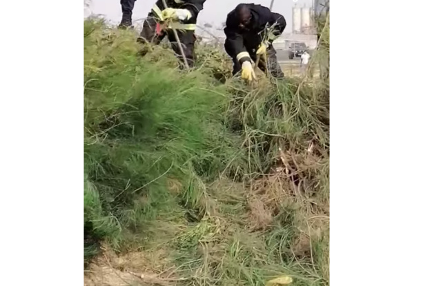 Les sapeurs pompiers attrapent un piton à la place de gadaye