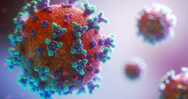 Nouveaux variants : L'Institut Pasteur ne dispose pas d’informations