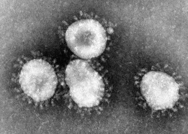 Épidémie: La fièvre jaune emporte deux vies à Kidira