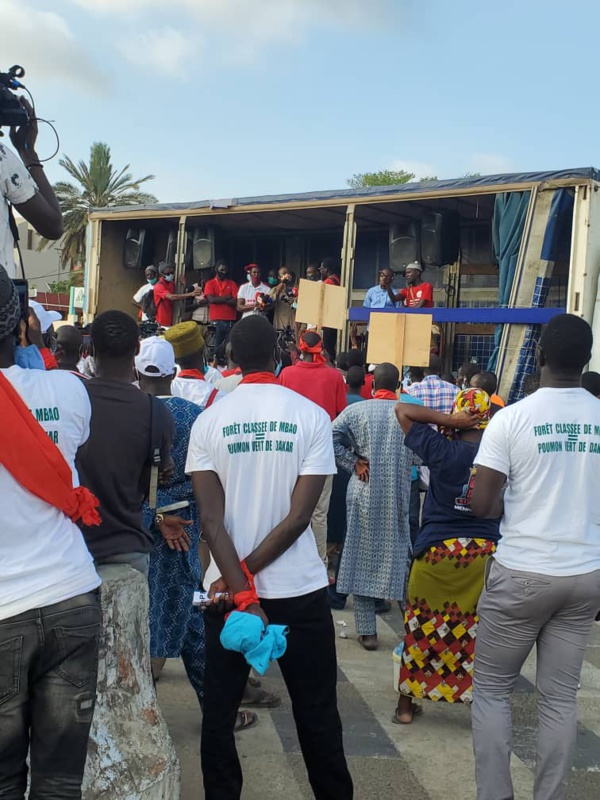 PATRIE EN DANGER ! SERIGNE AMADOU CISSÉ NDIEGUENE PATRIE EN DANGER ! SERIGNE AMADOU CISSÉ NDIEGUENE