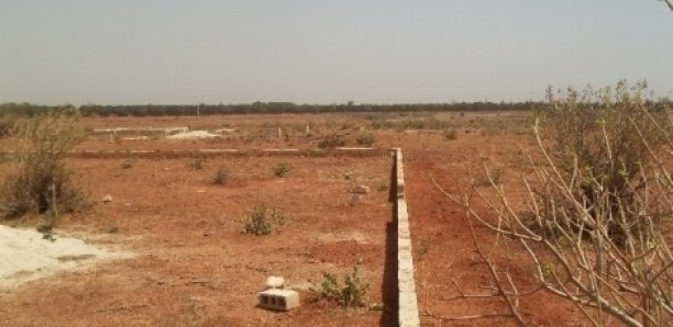Foncier à Thiès : Après Mbour4, la cité Diamalaye risque de subir des démolitions à cause de la SNHLM Foncier à Thiès : Après Mbour4, la cité Diamalaye risque de subir des démolitions à cause de la SNHLM
