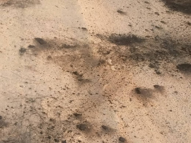 Kaolack : Des jeunes ont brûlé quelques pneus et comptent remettre ça. Kaolack : Des jeunes ont brûlé quelques pneus et comptent remettre ça.