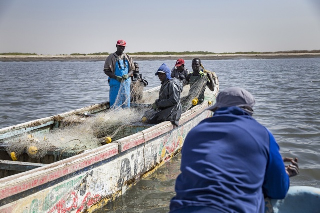 Urgent- Échauffourées entre pêcheurs Gambiens et Sénégalais... Urgent- Échauffourées entre pêcheurs Gambiens et Sénégalais...