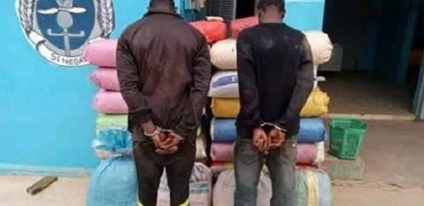 Sédhiou : Le trafiquant de drogue arrêté à Kamoya se faisait payer 5000 F par kg livré