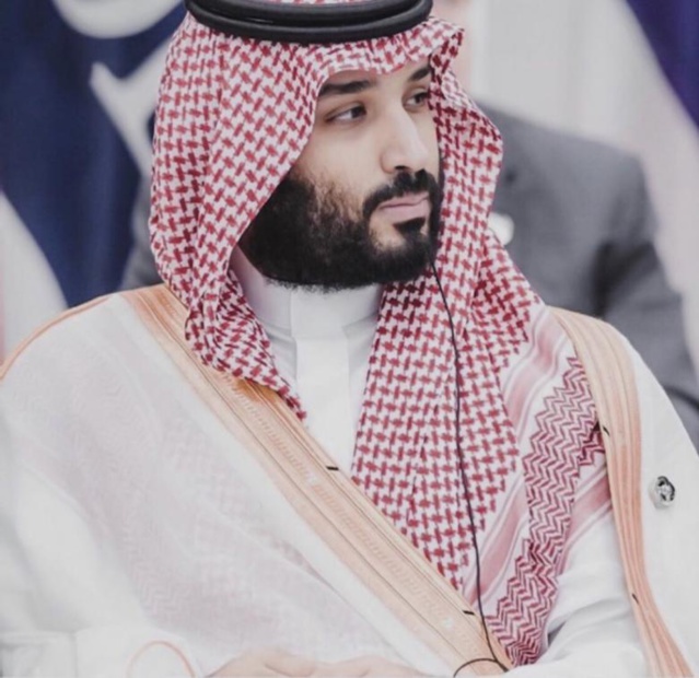 Moyen-Orient: L'Arabie saoudite lance son programme de lutte contre la dégradation de l'environnement 