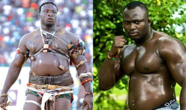 Modou Lo-Ama Baldé : la date du premier face à face connue Modou Lo-Ama Baldé : la date du premier face à face connue