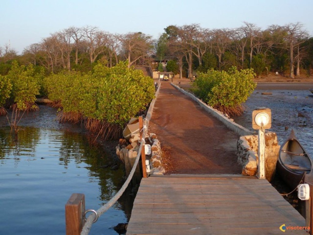 Toubacouta : Un jeune molesté par une dizaine d'éléments armés Toubacouta : Un jeune molesté par une dizaine d'éléments armés