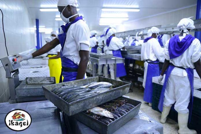 Mbour : Licenciement de 90 personnes à Ikagel... Mbour : Licenciement de 90 personnes à Ikagel...