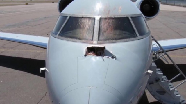 Un Avion navigant sans autorisation immobilisé à ziguinchor, une enquête ouverte Un Avion navigant sans autorisation immobilisé à ziguinchor, une enquête ouverte